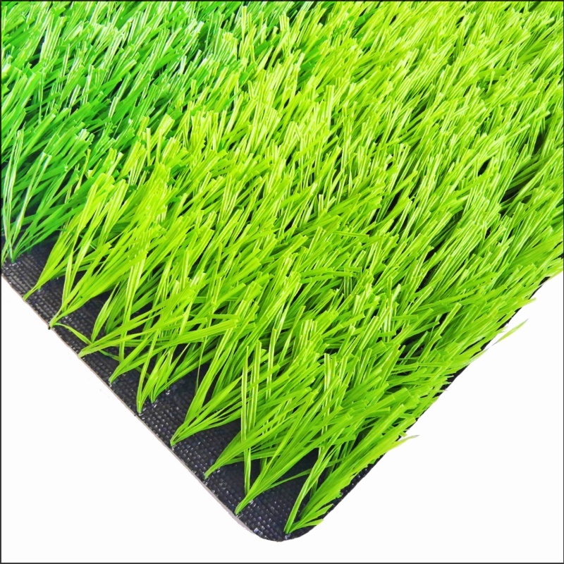 See More About Voetbalgras (FG50)